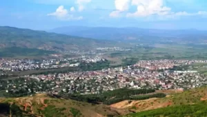 Bingöl Web Tasarım