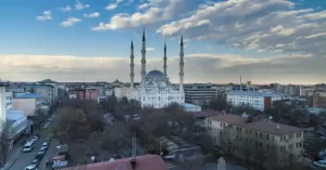 Iğdır Web Tasarım