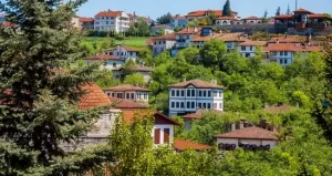 Karabük Web Tasarım