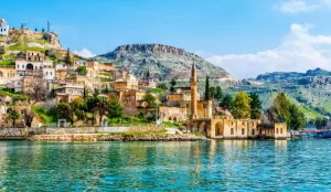 Şanlıurfa Web Tasarım