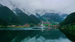 Trabzon Web Tasarım