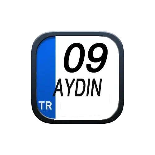 aydın-web-tasarım