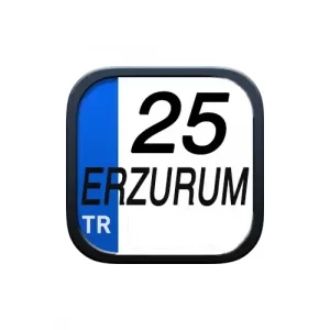 erzurum-web-tasarım
