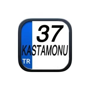 kastamonu-web-tasarım