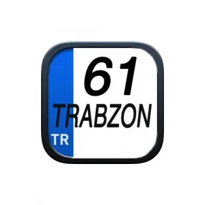 trabzon web tasarim