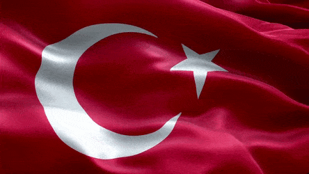 Türkiye Web Tasarım Ajansı